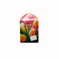 Чай SEBASTEA Spring Tulips Ассорти 20шт Чай SEBASTEA Spring Tulips Ассорти 20шт