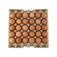 Яйцо МАЙКУДУКСКОЕ С1 30шт