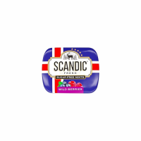 Конфеты SCANDIC Лесные ягоды 14г