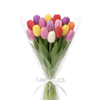 Букет из тюльпанов /15шт/