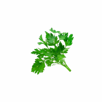 Петрушка шт