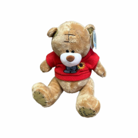 Мишка TED KZ Ted Азим в ассортименте 25см