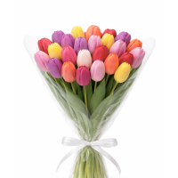 Букет из тюльпанов /25шт/