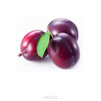 Слива Чернослив кг 