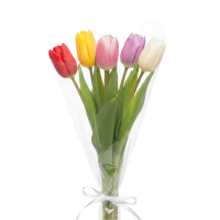 Букет из тюльпанов /5шт/