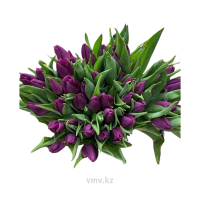 Тюльпан 50шт упаковка