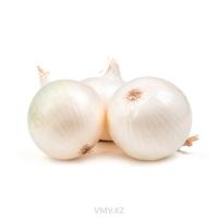 Лук Белый кг