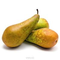 Груша Конференция кг