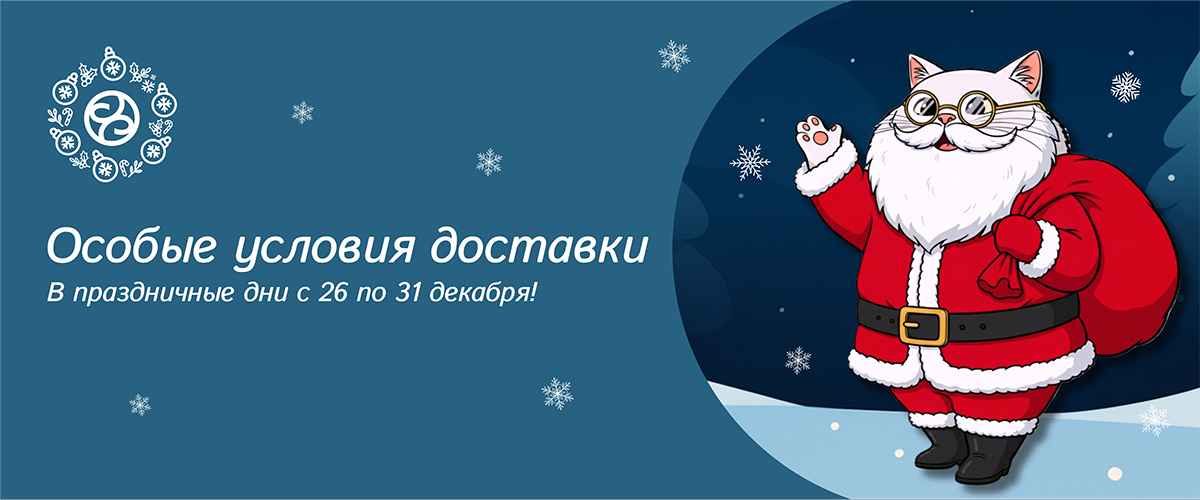 Условия доставки в праздничный период