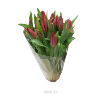 Букет из тюльпанов /15шт/