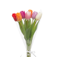 Букет из тюльпанов /7шт/