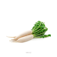 Редька Дайкон кг