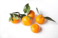 Мандарины на ветке кг