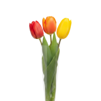 Букет из тюльпанов /3шт/
