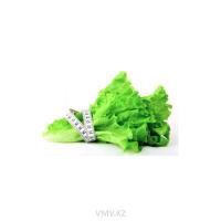 Листья салата кг Листья салата кг