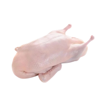 Гусь КАЗГУСЬ с/м кг