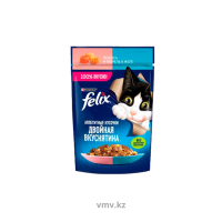 Корм FELIX Двойной вкус Лосось и форель 75г