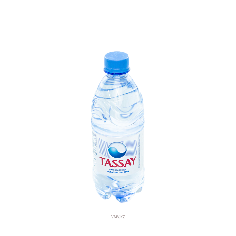 Вода TASSAY Питьевая негазированная 0,5л п/у - Заказать | Цена 320 тг ...