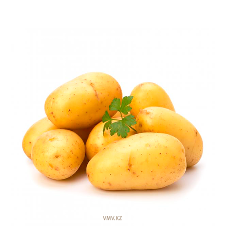 Картофель соц кг
