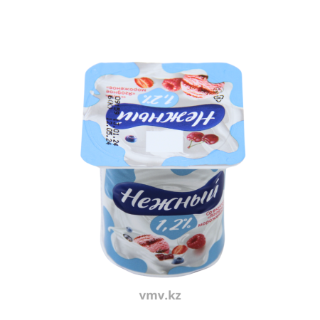 Йогурт CAMPINA Нежный со вкусом ягодного мороженого 1,2% 100г п/у