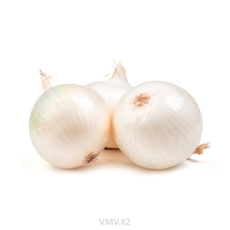 Лук Белый кг